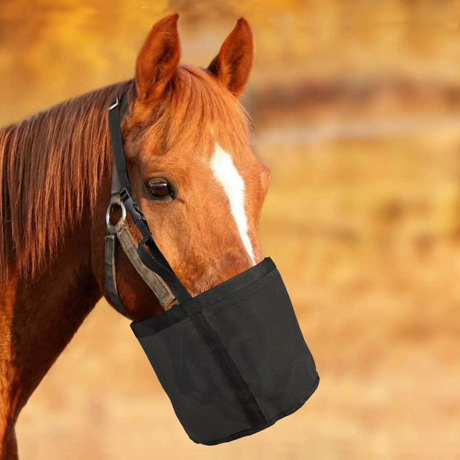 Horses Hey Feed Mesh Bag Slow Feeding Anti-bullying Grain Feedbag Adjustable Elastic Strap for Horses Mules Goats
Horses Hey Feed Mesh Bag Slow Feeding Anti-bullying Grain Feedbag Adjustable Elastic Strap for Horses Mules Goats