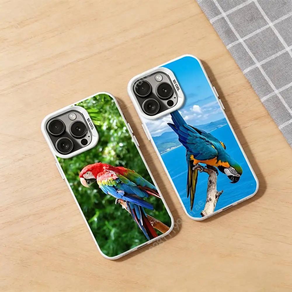 Rainbow Macaw Bird Phone Case for iPhone 17 16 Pro Plus 15 14 13 12 11 Max Mini X XS Silicone Shockproof Cover
Rainbow Macaw Bird Phone Case for iPhone 17 16 Pro Plus 15 14 13 12 11 Max Mini X XS Silicone Shockproof Cover
