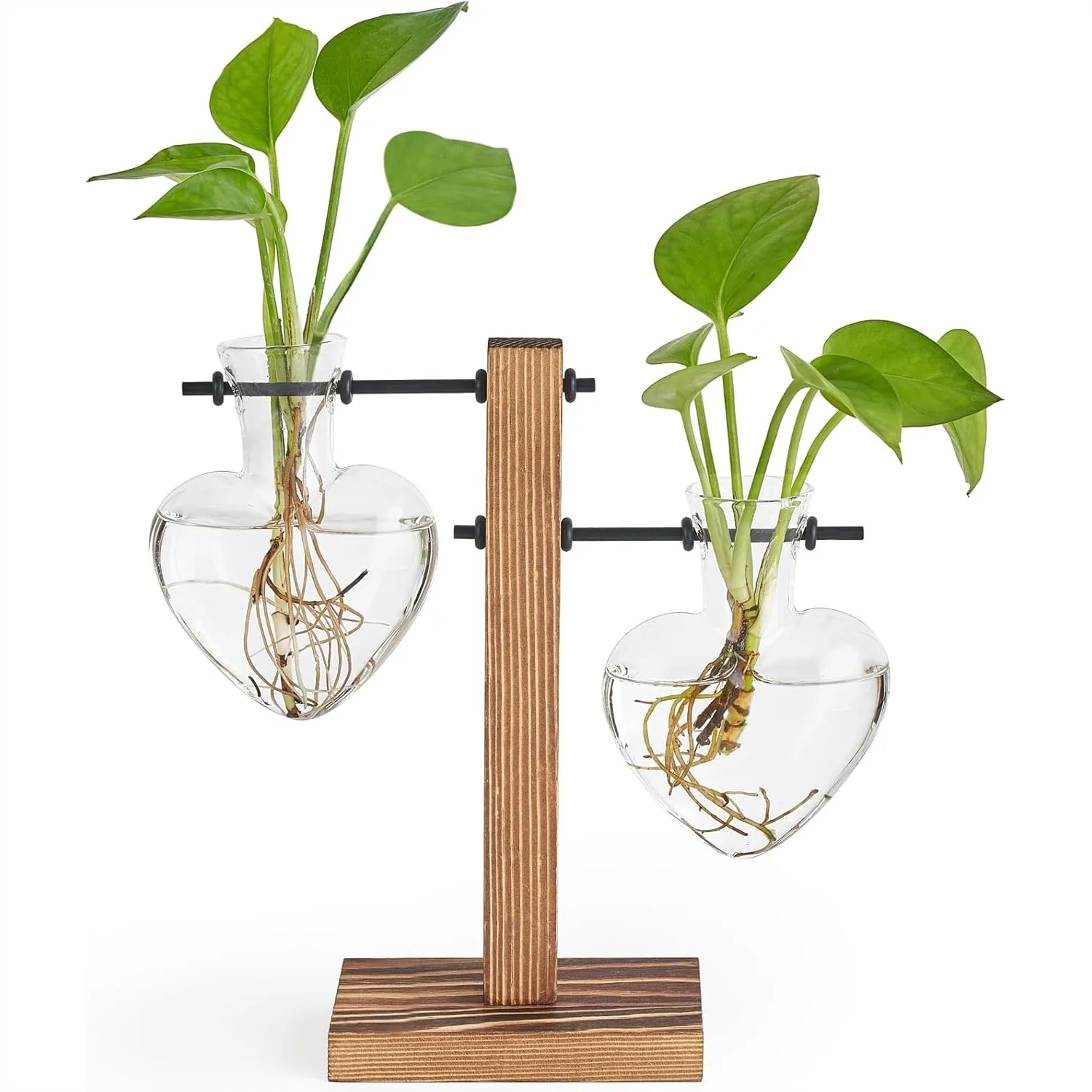 Heart Shaped Propagation Station with Wood Stand, Glass Hydroponic Planter for Home Office Desk Decor, Gift for Plant Lovers
Heart Shaped Propagation Station with Wood Stand, Glass Hydroponic Planter for Home Office Desk Decor, Gift for Plant Lovers