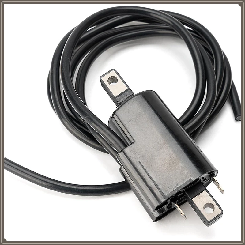 Watercraft Ignition Coil 278000383 For SeaDoo GSI GSX GTI GTS GTX
Watercraft Ignition Coil 278000383 For SeaDoo GSI GSX GTI GTS GTX
