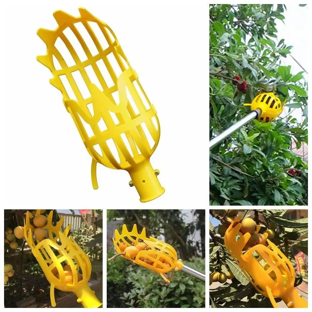 Fruit Catcher Head Agricultural Fruit Picker Head Plastic High-altitude Fruit Picker Yellow Fruit Picking Tool Garden
Fruit Catcher Head Agricultural Fruit Picker Head Plastic High-altitude Fruit Picker Yellow Fruit Picking Tool Garden