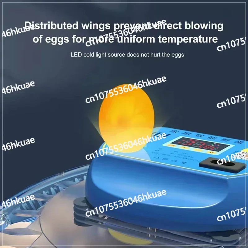 8-26 Инкубатор для яиц с водой Ионное пополнение воды Контроль температуры Летающая тарелка Инкубатор для яиц Полностью автоматический брудер
8-26 Инкубатор для яиц с водой Ионное пополнение воды Контроль температуры Летающая тарелка Инкубатор для яиц Полностью автоматический брудер