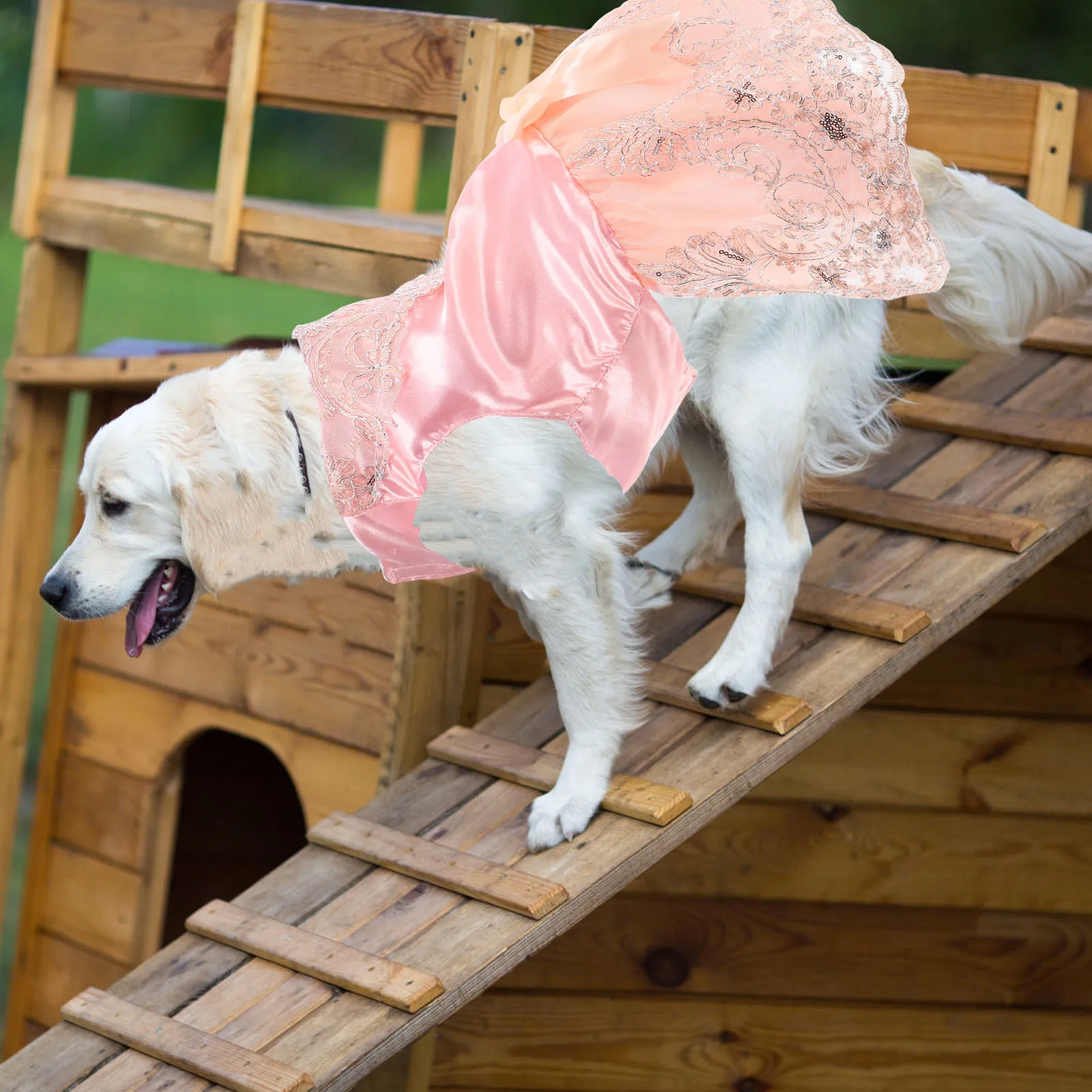 Pet Embroidery Lace Pink Dog Wedding Costume Xl Bow-Knot Party Dress for Small Dogs Photo Taking Lace Clothes
Pet Embroidery Lace Pink Dog Wedding Costume Xl Bow-Knot Party Dress for Small Dogs Photo Taking Lace Clothes