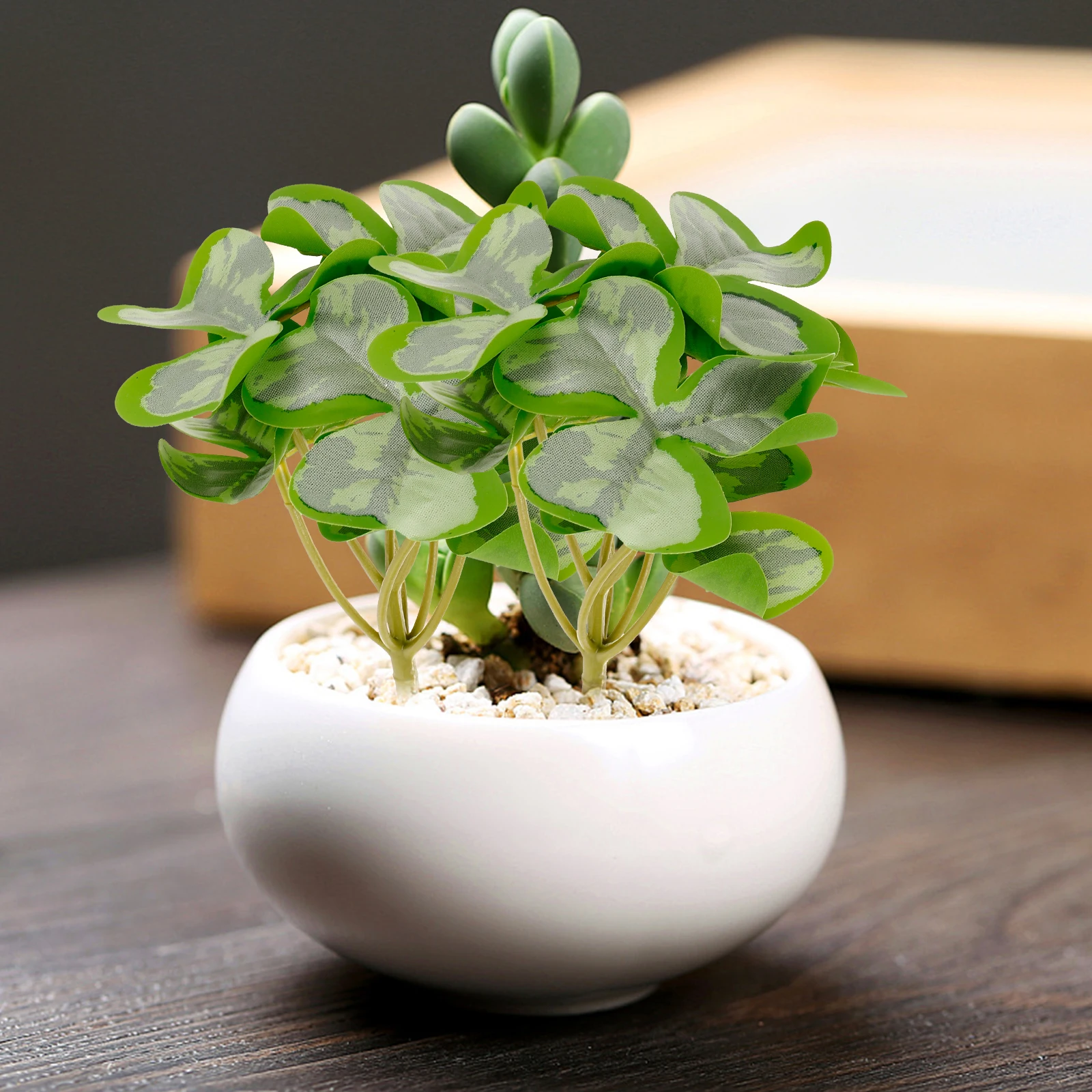5pcs Artificial Shamrock Bunch Lifelike Fake Green Plants Faux Shamrock Stems Realistic Home Office Decor Plant Picks Simulation
5pcs Artificial Shamrock Bunch Lifelike Fake Green Plants Faux Shamrock Stems Realistic Home Office Decor Plant Picks Simulation