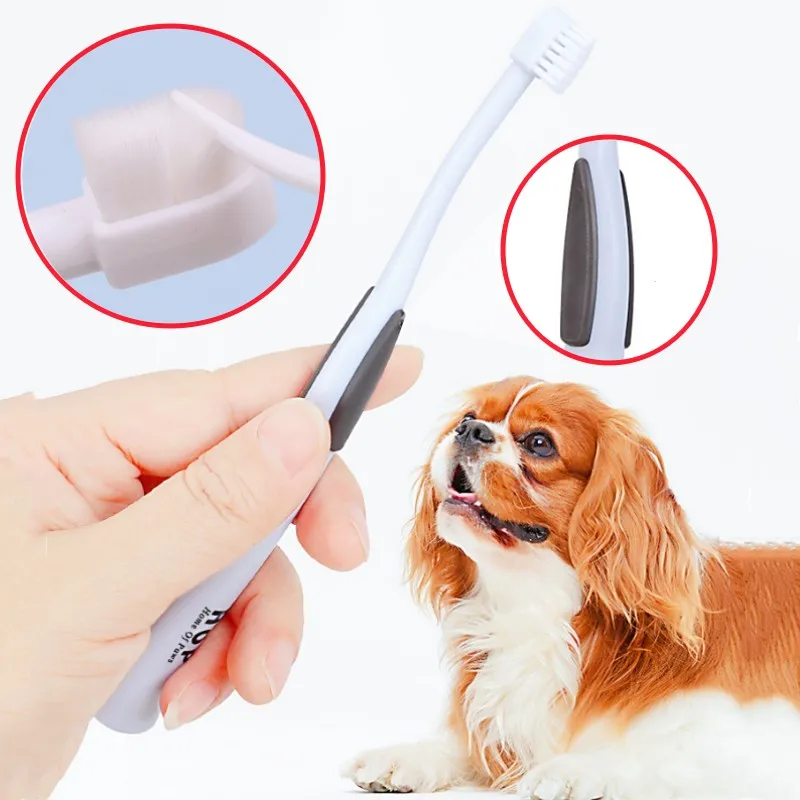 Dog Toothbrush Cat Oral Care Pet Toothbrush Small Head Brush for Dog Teeth Cleaning Soft Hair Dogs Toothbrushes Pet Supplies
Dog Toothbrush Cat Oral Care Pet Toothbrush Small Head Brush for Dog Teeth Cleaning Soft Hair Dogs Toothbrushes Pet Supplies