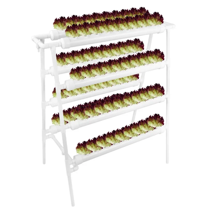 Double-Sided 8-Tube Auto Water Circulation System for Lettuce Choy Sum Leafy Veggies - Hydroponic Growing Kit
Double-Sided 8-Tube Auto Water Circulation System for Lettuce Choy Sum Leafy Veggies - Hydroponic Growing Kit