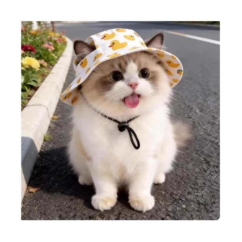 Summer Cat Hat with Exposed Ears Cute Cartoon Duckling Fisherman's Pet Sun Visor Visor Stylish New Design for Cats
Summer Cat Hat with Exposed Ears Cute Cartoon Duckling Fisherman's Pet Sun Visor Visor Stylish New Design for Cats