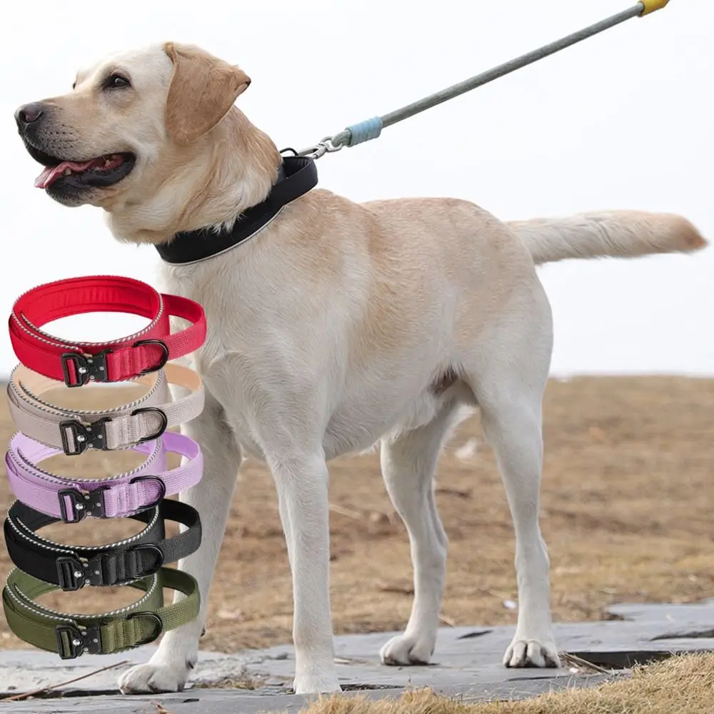 Polyester Fiber Pet Dog Collar Comfortable Breathable Dog Training Collar Adjustable with Metal Buckle Pet Reflective Collar
Polyester Fiber Pet Dog Collar Comfortable Breathable Dog Training Collar Adjustable with Metal Buckle Pet Reflective Collar