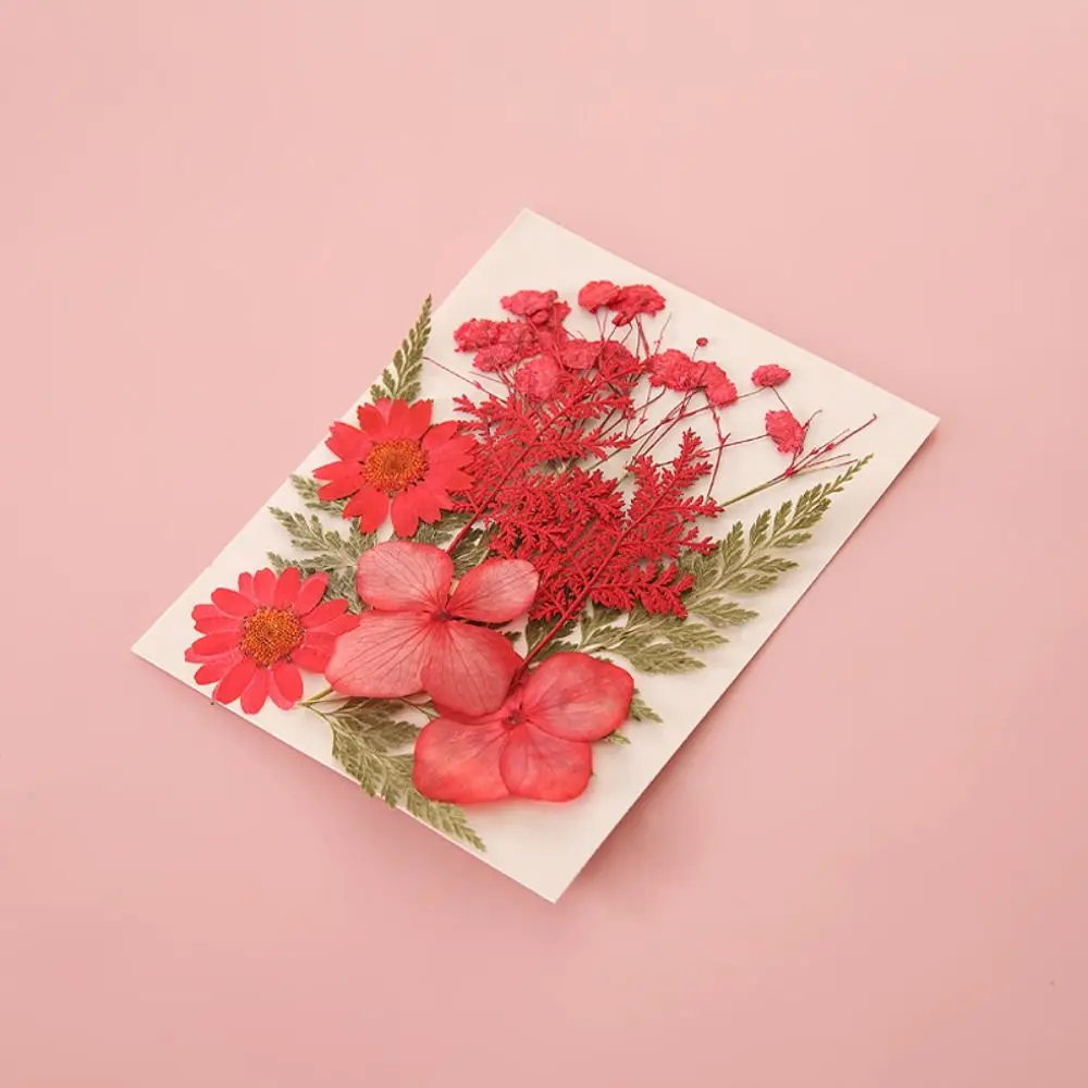 DIY Materials DIY Dried Flower Bookmarks Pressed Flower PET Dried Flower Stickers Herbarium Handmade Flower Page Bookmark
DIY Materials DIY Dried Flower Bookmarks Pressed Flower PET Dried Flower Stickers Herbarium Handmade Flower Page Bookmark