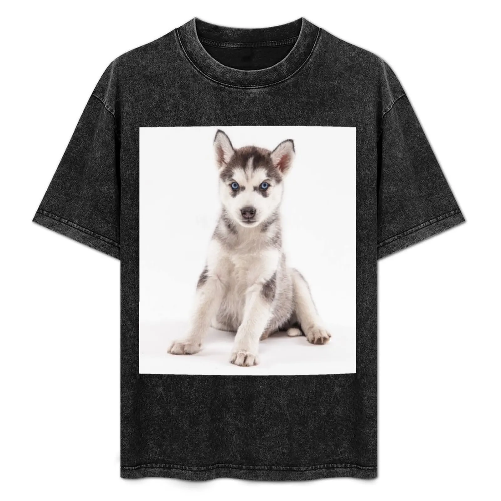 Husky - Puppy T-Shirt Big and Tall Solid Color T-Shirt
Husky - Puppy T-Shirt Big and Tall Solid Color T-Shirt