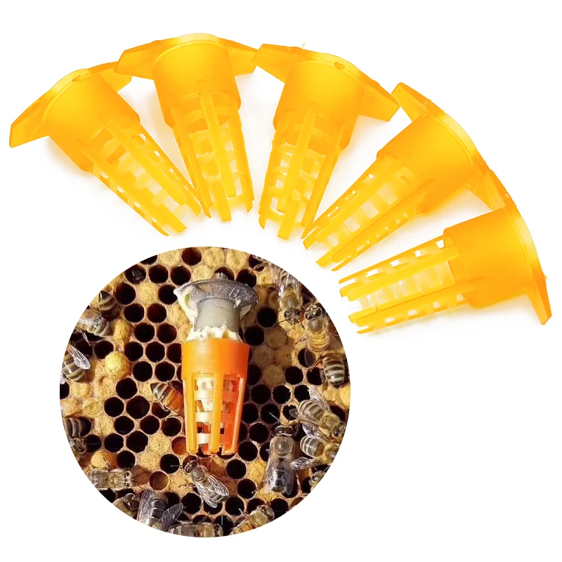 200Pcs Bee Queen Cage Beekeeping Tools Cell Protector Cages Yellow Plastic Bee Queen Cage Protective Cover Apiculture Equipment
200Pcs Bee Queen Cage Beekeeping Tools Cell Protector Cages Yellow Plastic Bee Queen Cage Protective Cover Apiculture Equipment