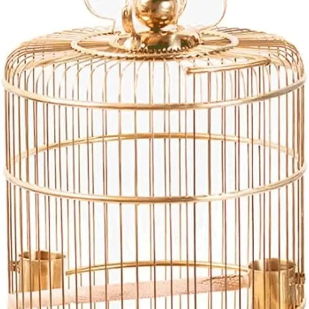 Большая золотая клетка для птиц из кованого железа с подставкой для сада и заднего двора, большая вместимость, легко носить с собой
Большая золотая клетка для птиц из кованого железа с подставкой для сада и заднего двора, большая вместимость, легко носить с собой