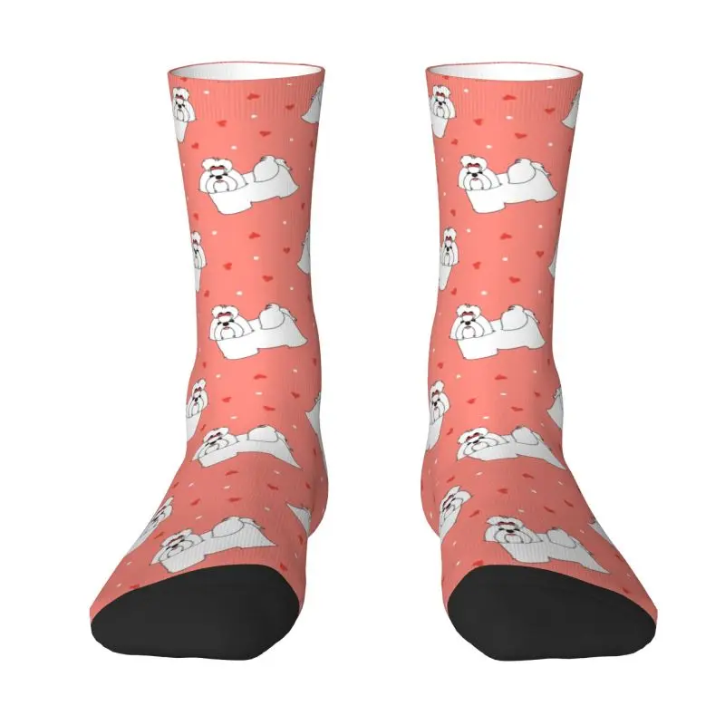 Harajuku Love White Shih Tzu Dog Socks Men Women Warm 3D Printed Animal Cartoon Sports Basketball Socks
Harajuku Love White Shih Tzu Dog Socks Men Women Warm 3D Printed Animal Cartoon Sports Basketball Socks