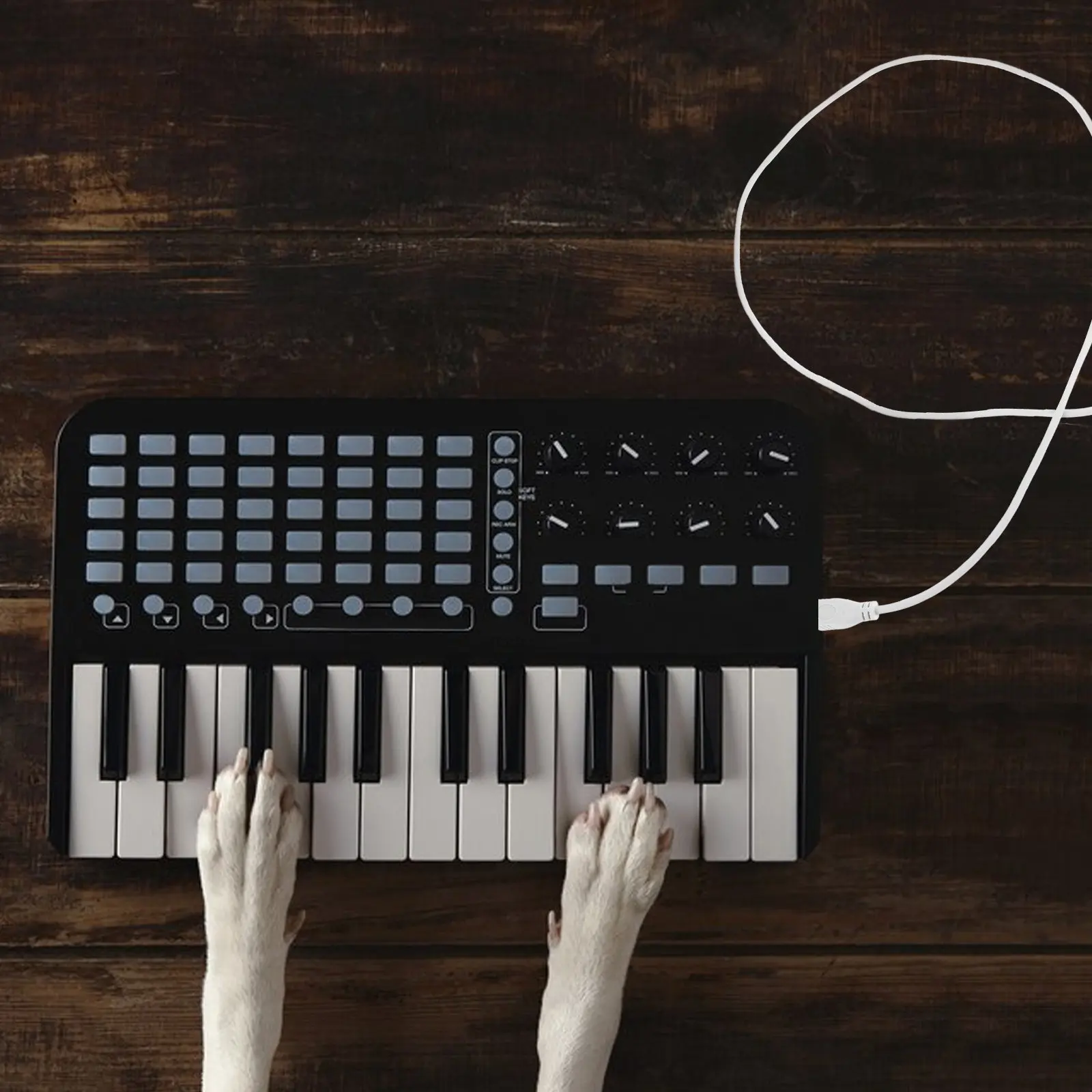 Type-C to Type B Cable 1 Meter White High Speed Sync for Electronic Musical Instruments Midi Controller Piano USB Audio
Type-C to Type B Cable 1 Meter White High Speed Sync for Electronic Musical Instruments Midi Controller Piano USB Audio