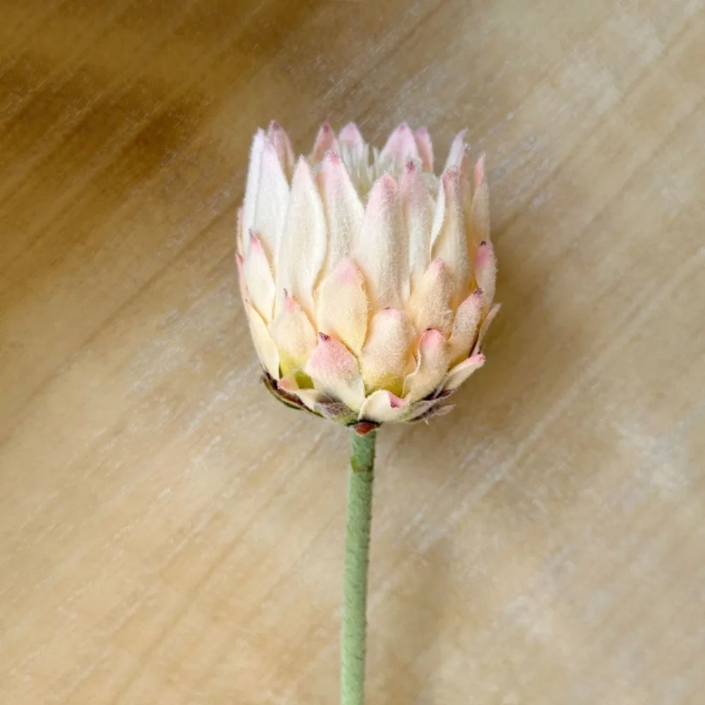 Large Size Artificial Flower Lifelike flocked Artificial Artichoke Flower DIY Multicolor Nordic Thistle Flower
Large Size Artificial Flower Lifelike flocked Artificial Artichoke Flower DIY Multicolor Nordic Thistle Flower