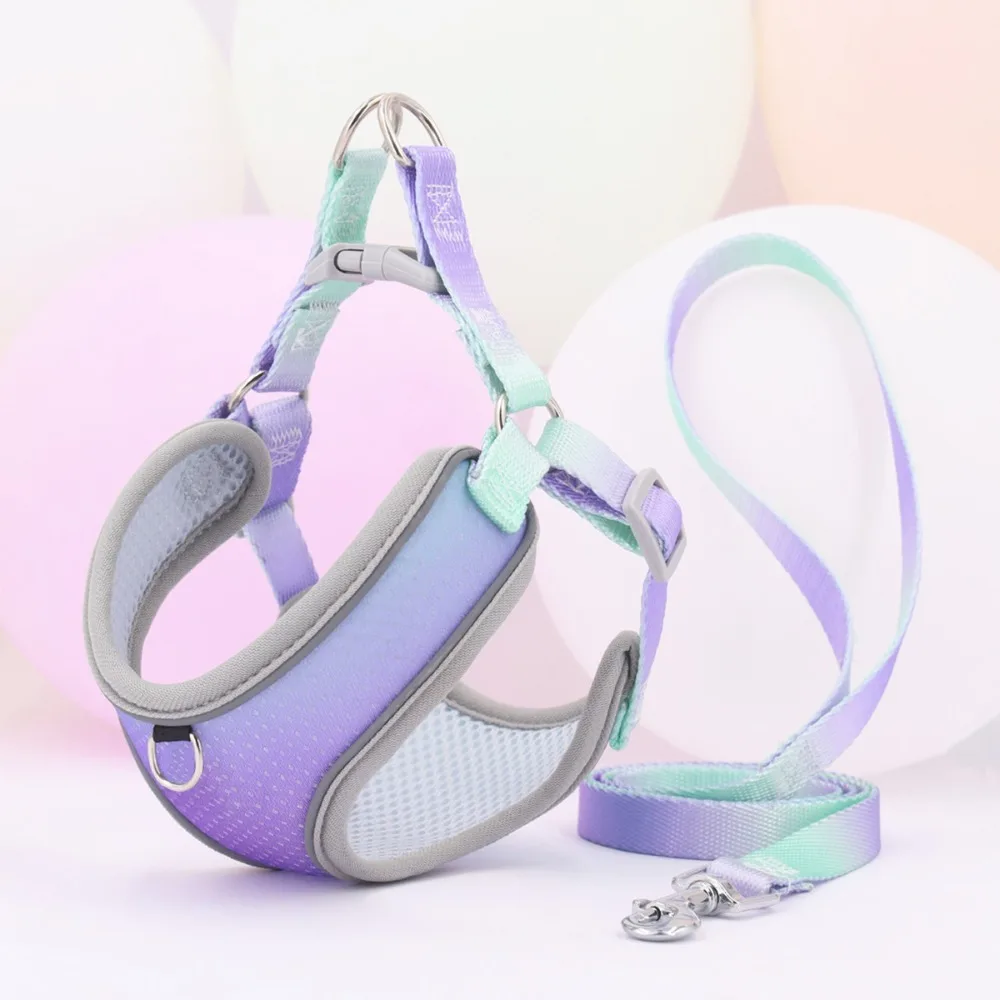 Gradient Color Dog Harness Vest with Reflective Strap Adjustable Dog Chest Back Dog Leash Breathable Universal Dog Walking Leash
Gradient Color Dog Harness Vest with Reflective Strap Adjustable Dog Chest Back Dog Leash Breathable Universal Dog Walking Leash