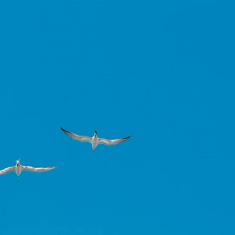 MN Алюминиевый сплав с ЧПУ, анодированный цельнометаллический передний задний портальный мост для 1/12 MN MN99S MN98 D90 D91 D99 D99S MN90 Обновление радиоуправляемого автомобиля 
MN Алюминиевый сплав с ЧПУ, анодированный цельнометаллический передний задний портальный мост для 1/12 MN MN99S MN98 D90 D91 D99 D99S MN90 Обновление радиоуправляемого автомобиля