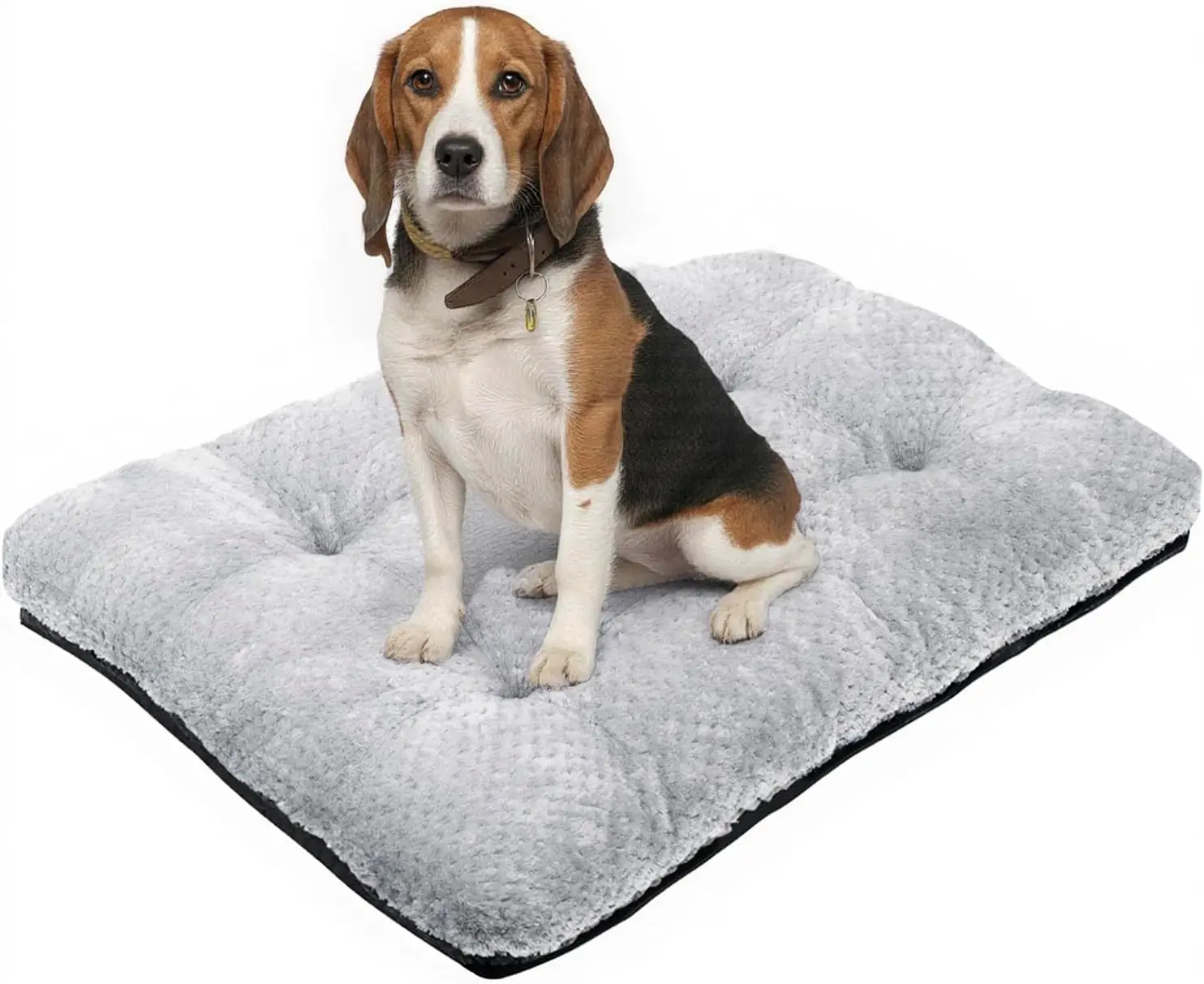 Washable Dog Bed Plush Dog Crate Beds for Large, Medium, Small Size Dogs, Anti-Slip Soft Comfy Pet Kennel Pad, Fits Crat
Washable Dog Bed Plush Dog Crate Beds for Large, Medium, Small Size Dogs, Anti-Slip Soft Comfy Pet Kennel Pad, Fits Crat