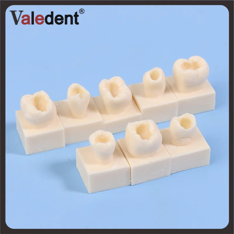 8 шт./компл., стоматологическая задняя студенческая тренировочная тестовая модель, тренировочная композитная смола, наполнитель зубов, челюсть, стоматологическое оборудование
8 шт./компл., стоматологическая задняя студенческая тренировочная тестовая модель, тренировочная композитная смола, наполнитель зубов, челюсть, стоматологическое оборудование