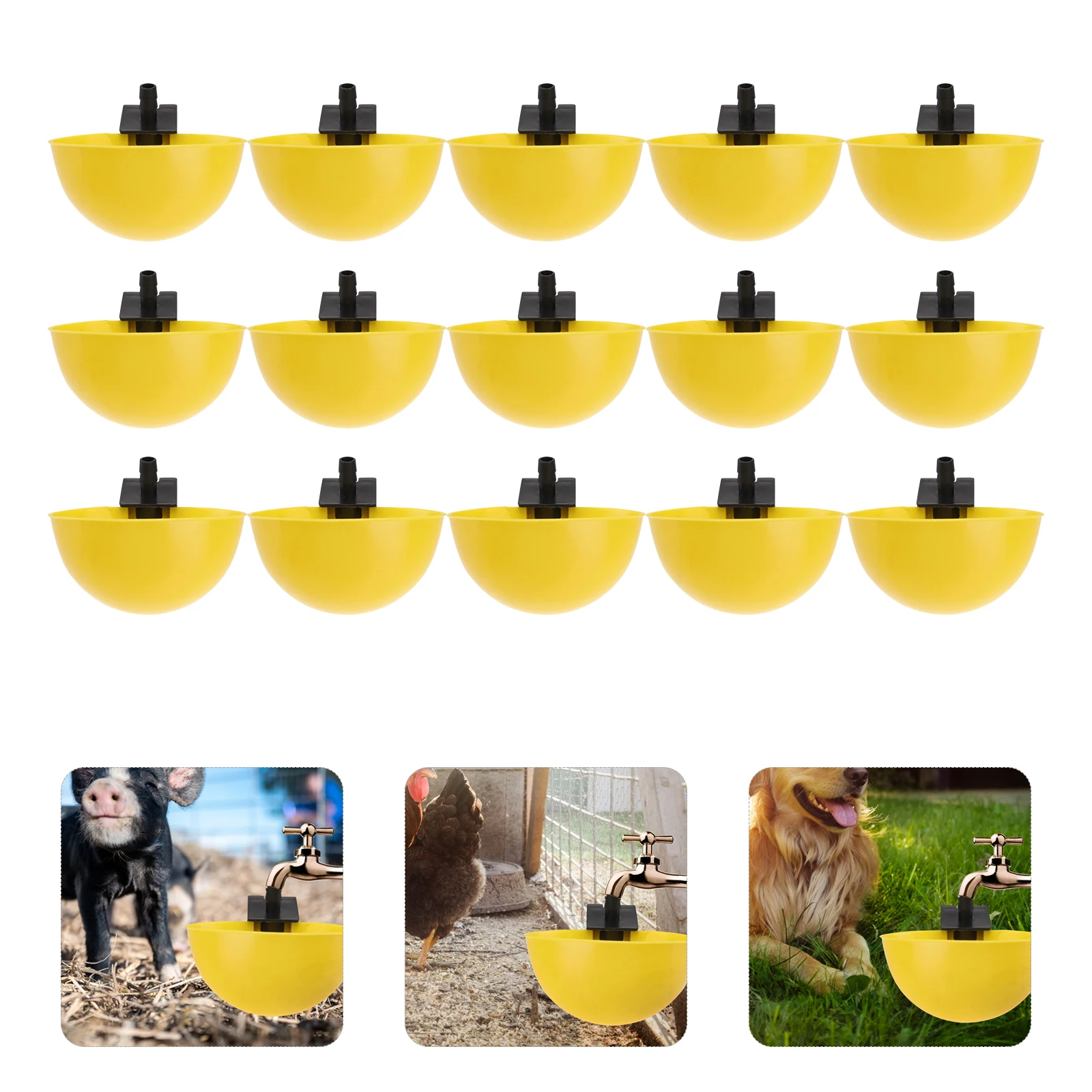 15pcs Automatic Chicken Water Bowl Durable Fall Resistant Easy Install Large Water Output Creative Design for Chickens
15pcs Automatic Chicken Water Bowl Durable Fall Resistant Easy Install Large Water Output Creative Design for Chickens