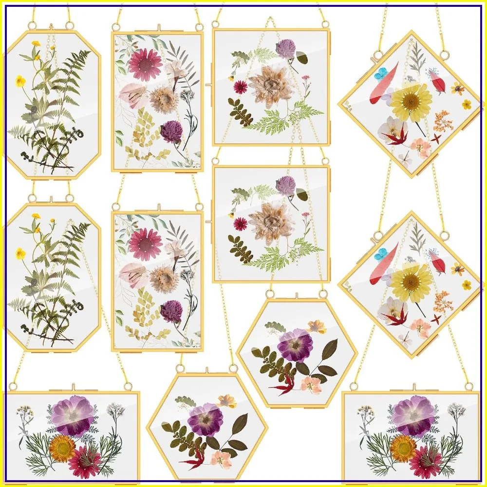 12 Pcs Brass Glass Frame for Pressed Flowers with Chain, Clear Double Glass Floating Artwork Display Frame for Wall Decor, 6 Shapes
12 Pcs Brass Glass Frame for Pressed Flowers with Chain, Clear Double Glass Floating Artwork Display Frame for Wall Decor, 6 Shapes