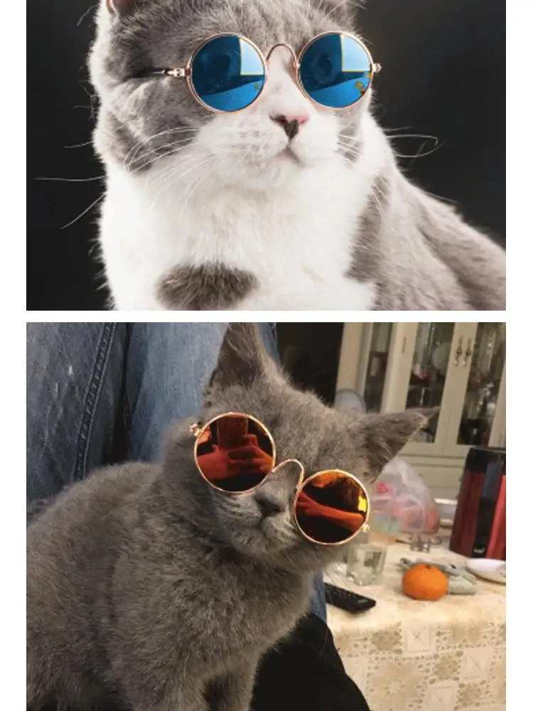 Pet Glasses Cat Sunglasses Pet Anti Ultraviolet Glasses Windproof Trend Cool Accessories Protective Glasses
Pet Glasses Cat Sunglasses Pet Anti Ultraviolet Glasses Windproof Trend Cool Accessories Protective Glasses