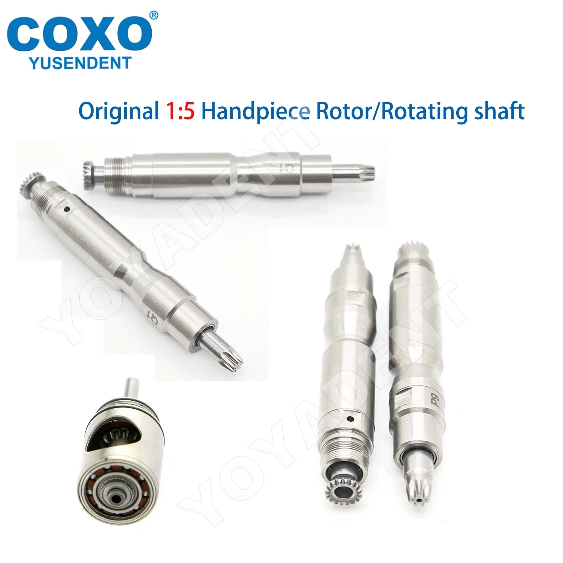 COXO Dental 1:5 Handpieces Rotating shaft/Rotor For CX235 C7-1 C7-2 C7-5 Low Speed Handpieces Accessories
COXO Dental 1:5 Handpieces Rotating shaft/Rotor For CX235 C7-1 C7-2 C7-5 Low Speed Handpieces Accessories