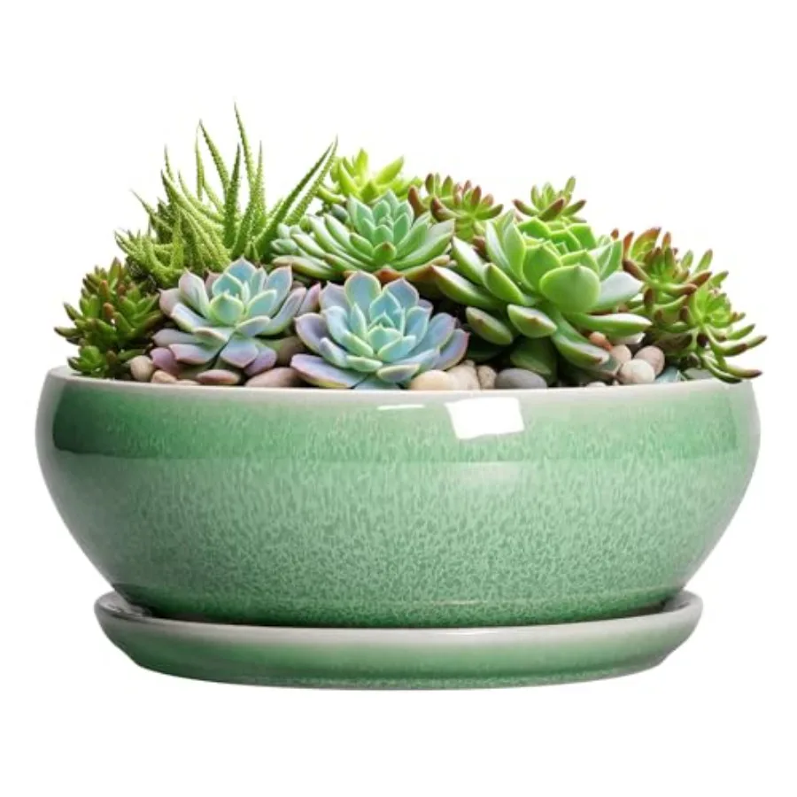 Succulent Planter 12 Inch - Ceramic Bonsai Pots with Drainage Hole and Saucer Large Shallow Planter Bowl Round Planter for Indo
Succulent Planter 12 Inch - Ceramic Bonsai Pots with Drainage Hole and Saucer Large Shallow Planter Bowl Round Planter for Indo