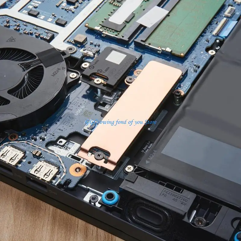 H9EB для G15 5530 G16 7630 Ноутбук 2280 SSD жесткий диск монтажный кронштейн
H9EB для G15 5530 G16 7630 Ноутбук 2280 SSD жесткий диск монтажный кронштейн