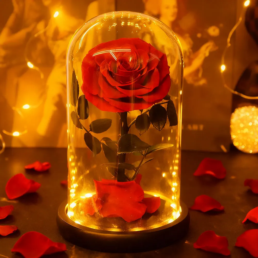 Консервированная роза в стеклянных куполях со светодиодной подсветкой, подарок для подруги, прочный, долговечный на год, романтическая сервировка ужина
Консервированная роза в стеклянных куполях со светодиодной подсветкой, подарок для подруги, прочный, долговечный на год, романтическая сервировка ужина