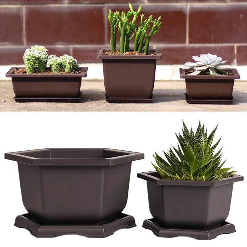 Outdoor Garden Landscape Bonsai Tray Square Rectangular Flowerpots Imitation Purple Clay Succulent Plants Pots Pots for Plants
Outdoor Garden Landscape Bonsai Tray Square Rectangular Flowerpots Imitation Purple Clay Succulent Plants Pots Pots for Plants