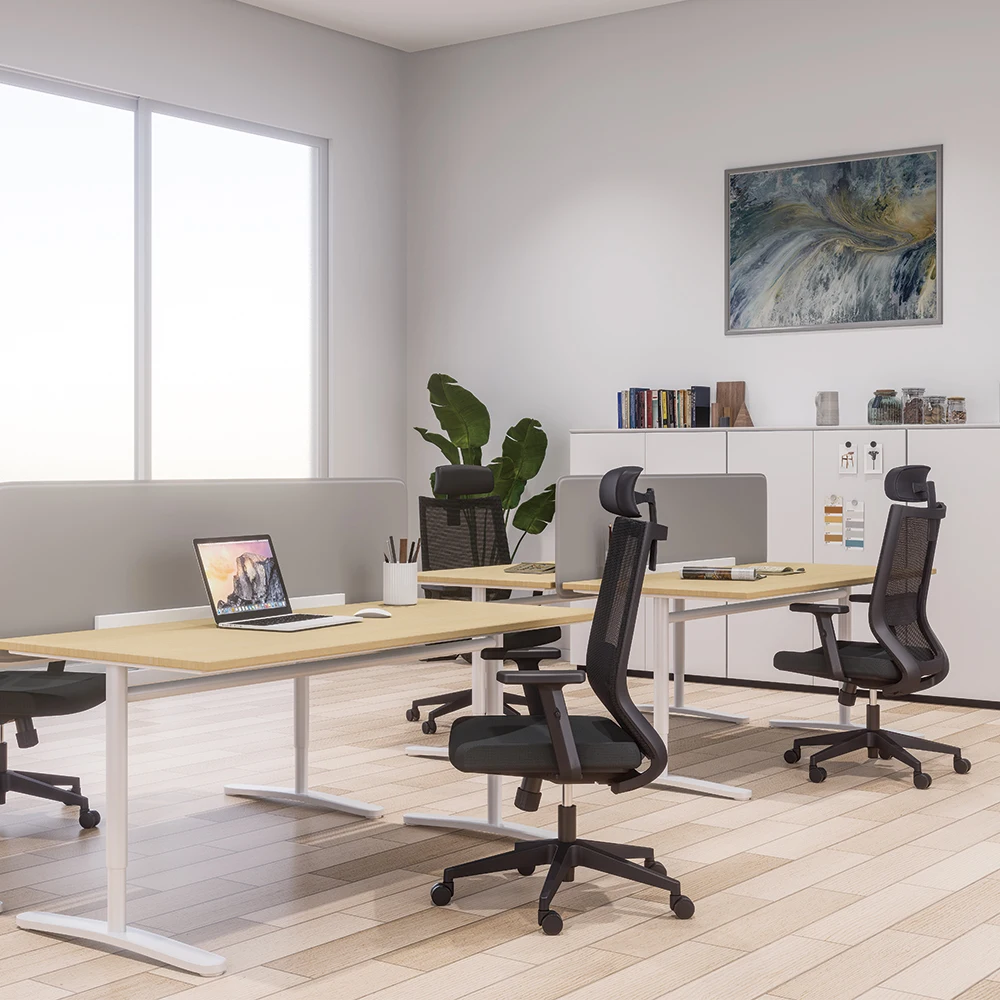 ZC01 Luxury Cheap Adjustable Armrest High Back Full Mesh Executive Chair Office Ergonomic Swivel Mesh Chair With Lumbar Support
ZC01 Luxury Cheap Adjustable Armrest High Back Full Mesh Executive Chair Office Ergonomic Swivel Mesh Chair With Lumbar Support