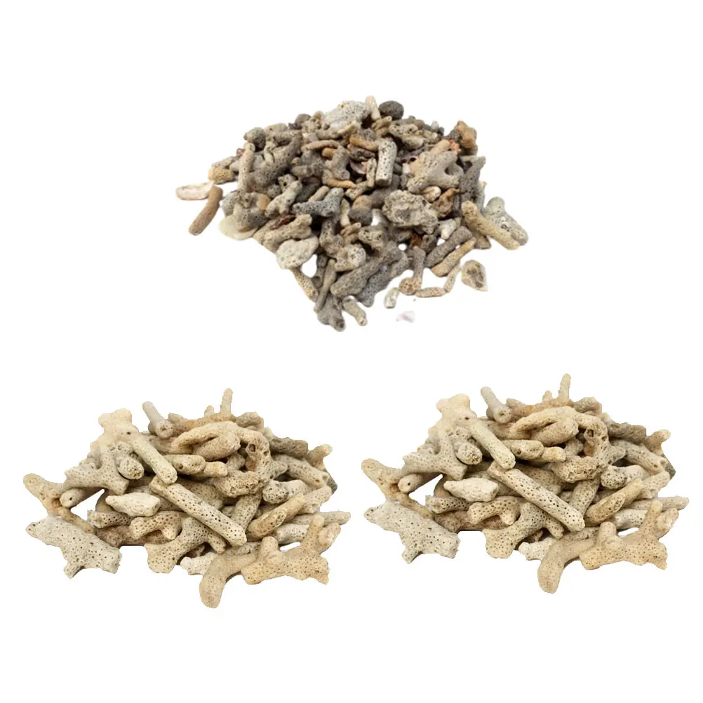 3 Pcs Filter Material Ornamental Fish Tank Practical Effective Filtration Sink Aquarium Sand for
3 Pcs Filter Material Ornamental Fish Tank Practical Effective Filtration Sink Aquarium Sand for
