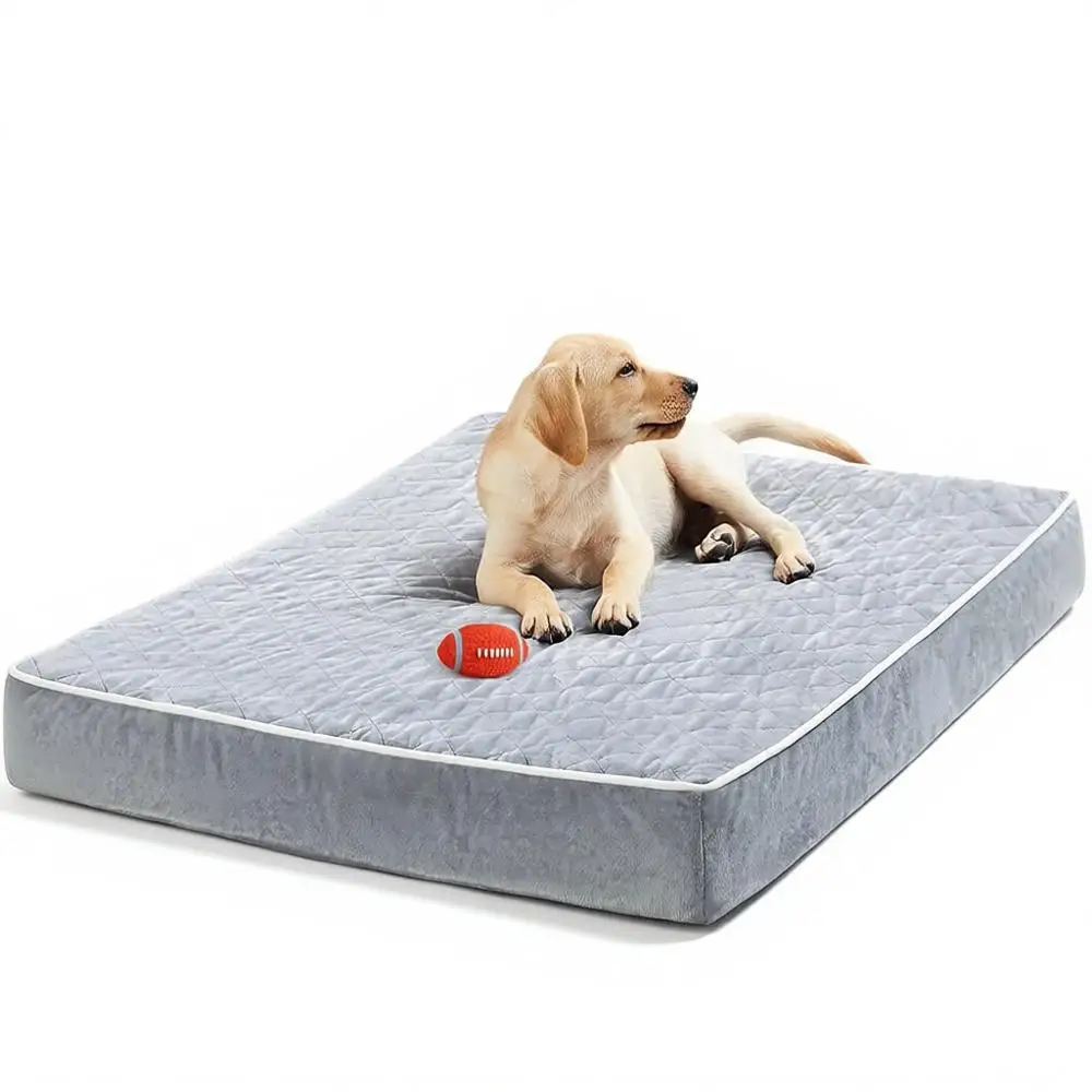 Extra Large Orthopedic Dog Bed with Removable Washable Cover, Multi-Needle Quilting for XL or Large Dogs, Light Grey
Extra Large Orthopedic Dog Bed with Removable Washable Cover, Multi-Needle Quilting for XL or Large Dogs, Light Grey