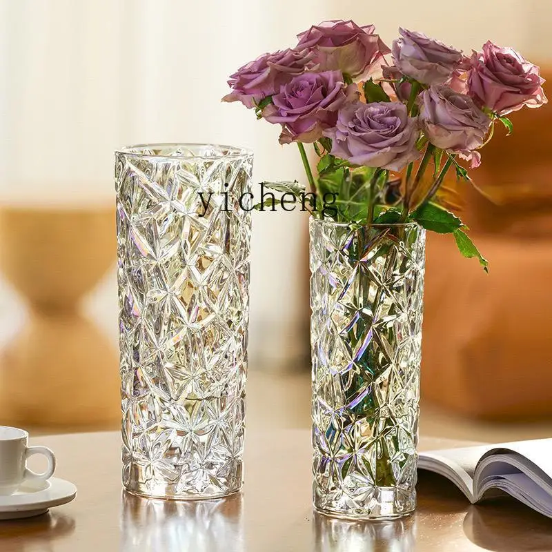 LSL Light Luxury Transparent Glass Vase Living Room Decoration Flower Arrangement Hydroponic Desktop Ornament Lucky Bamboo 
LSL Light Luxury Transparent Glass Vase Living Room Decoration Flower Arrangement Hydroponic Desktop Ornament Lucky Bamboo