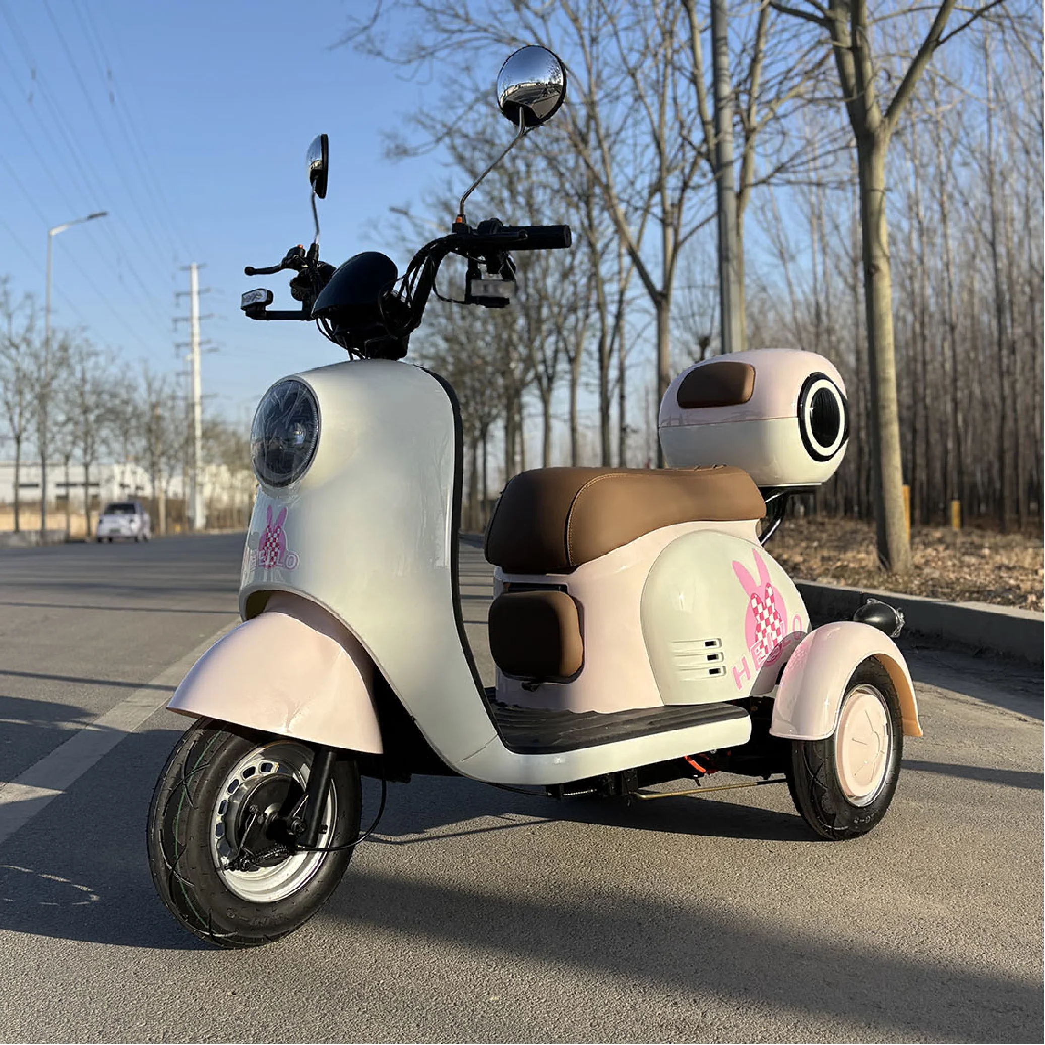 Popular Affordable Electric Tricycle 3-Wheeler with 60V Battery Color Options
Popular Affordable Electric Tricycle 3-Wheeler with 60V Battery Color Options