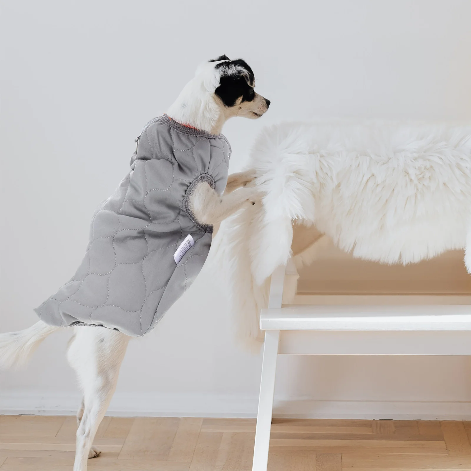 Pet Vest Dog Type Coat Cotton Decorative Clothes Warm Puppy Small Short Clothing Stylish Winter Dog Cotton Coat Pet Warm
Pet Vest Dog Type Coat Cotton Decorative Clothes Warm Puppy Small Short Clothing Stylish Winter Dog Cotton Coat Pet Warm