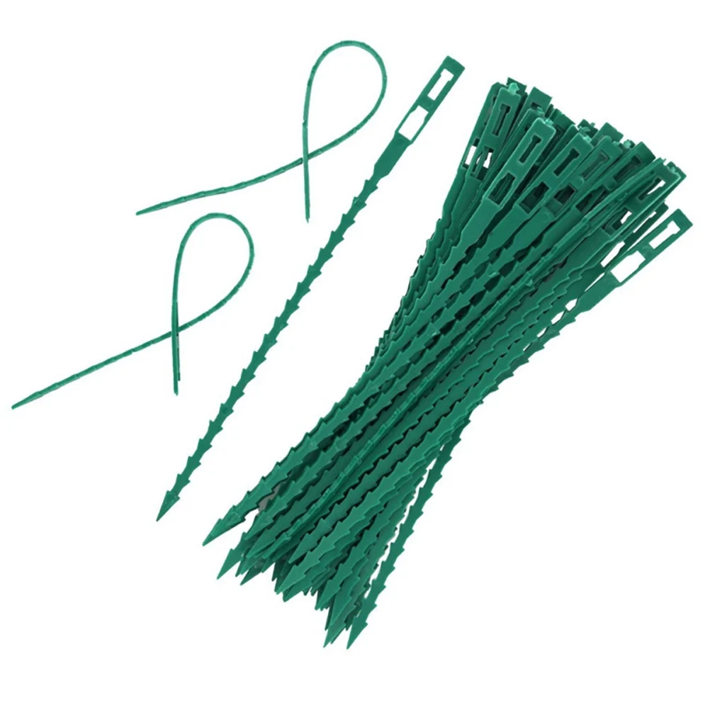 100pcs Plant Fixing Buckles Cable Tie Vine Climbing Support Reusable Adjustable Straps Garden Yard Workshop Home Office
100pcs Plant Fixing Buckles Cable Tie Vine Climbing Support Reusable Adjustable Straps Garden Yard Workshop Home Office