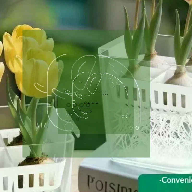 Hydroponic Containers Breathable Support Basket Seed Hydroponic Flowerpot 4 Holes Soilless Flower Pot Home Decoration Gift
Hydroponic Containers Breathable Support Basket Seed Hydroponic Flowerpot 4 Holes Soilless Flower Pot Home Decoration Gift