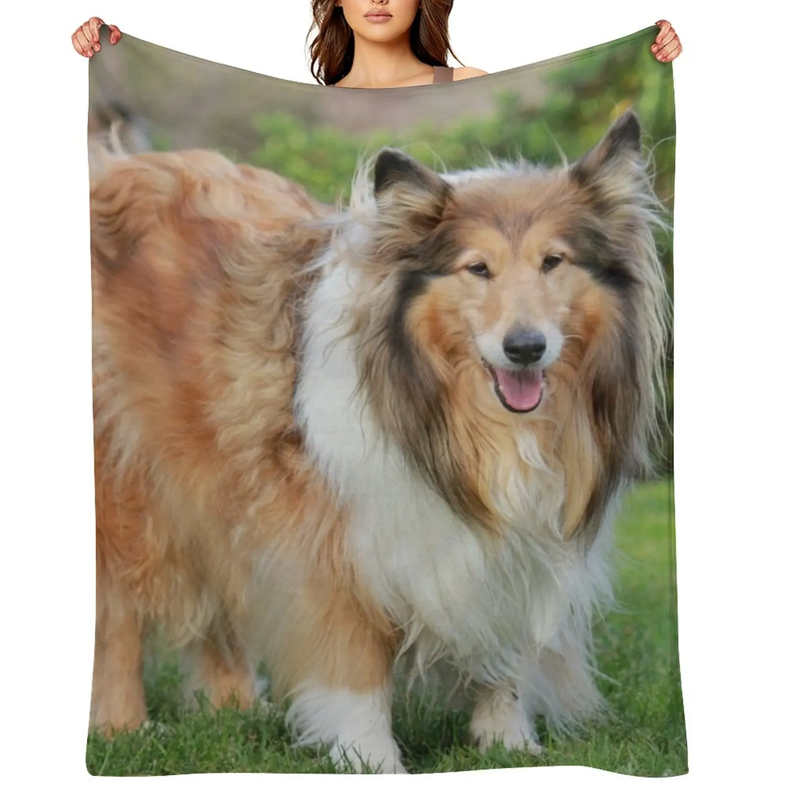 Sable Rough Collie Throw Blanket Hairy Soft Plaid Picnic warm winter Blankets
Sable Rough Collie Throw Blanket Hairy Soft Plaid Picnic warm winter Blankets