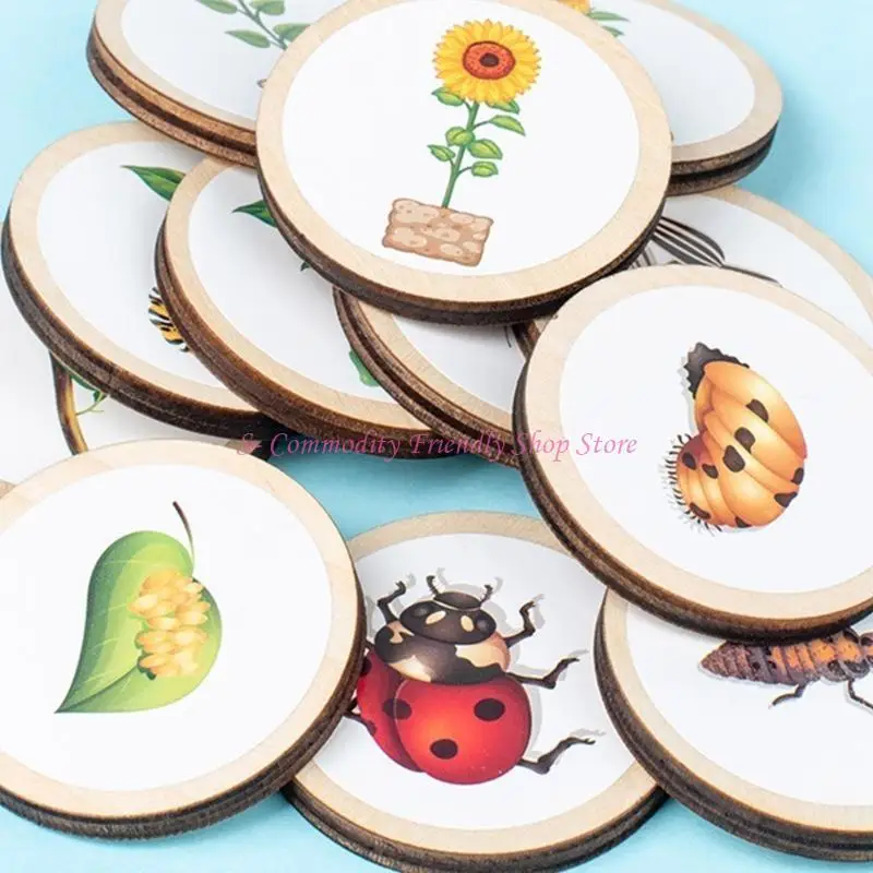 85AE Kids Learning Plants Animals Figure Life Cycle Sorting Toy Biology Life Growth
85AE Kids Learning Plants Animals Figure Life Cycle Sorting Toy Biology Life Growth