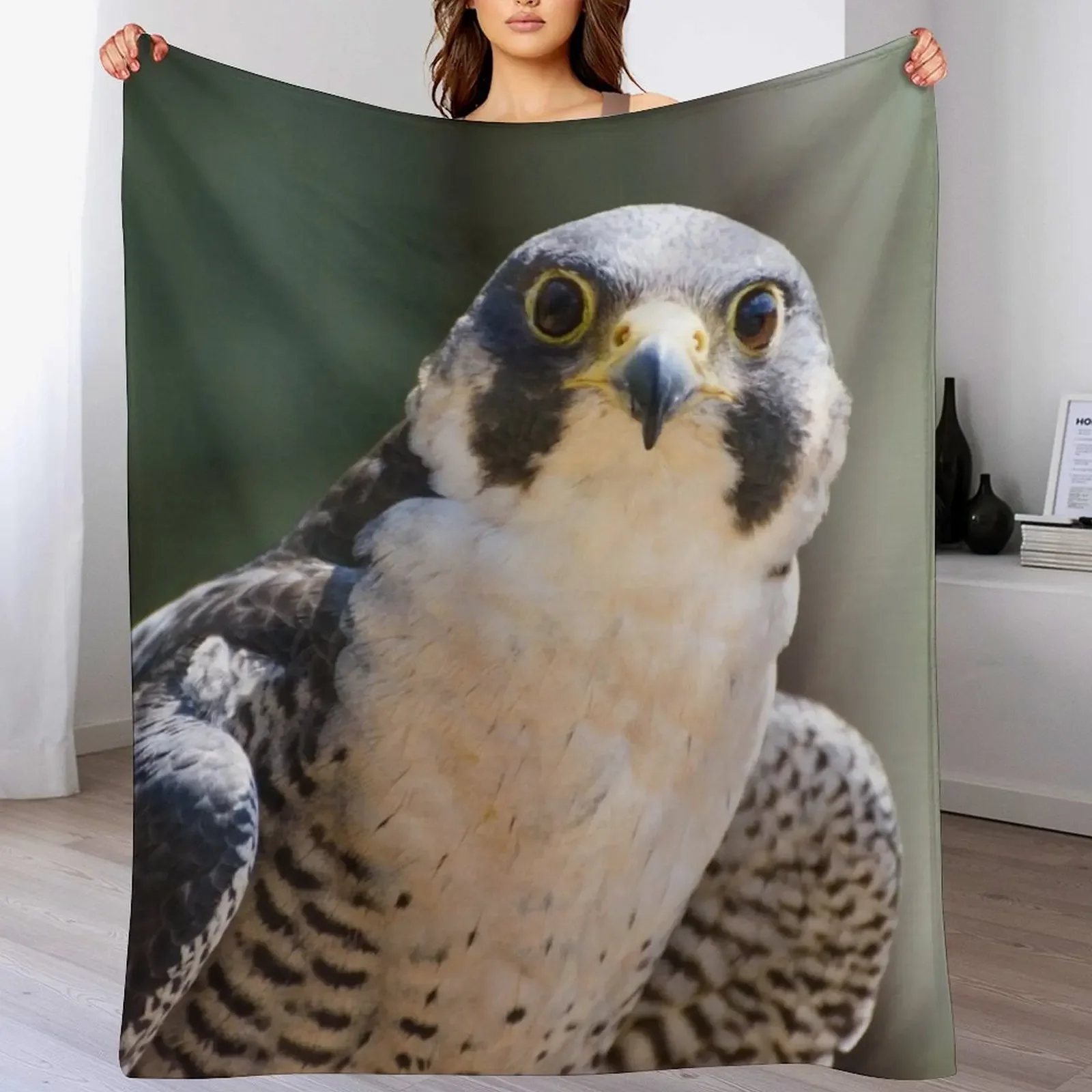 Peregrine falcon Throw Blanket Spring Fall Cozy Throw Blanket for Couch
Peregrine falcon Throw Blanket Spring Fall Cozy Throw Blanket for Couch