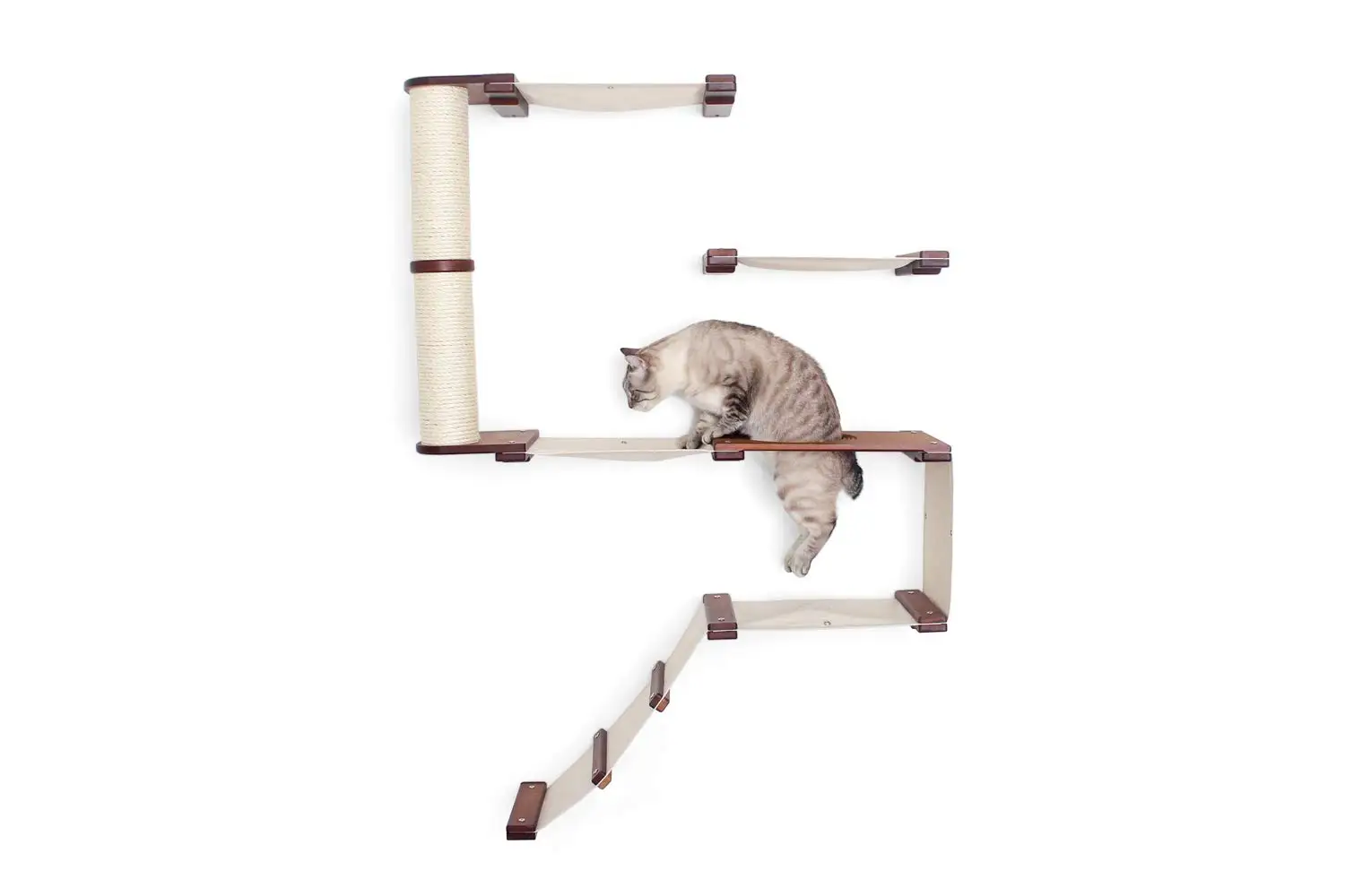 Wall Mounted Cat Tree Shelves Climb Play Lounge Furniture English Chestnut Bamboo Natural Canvas One Size, Customized
Wall Mounted Cat Tree Shelves Climb Play Lounge Furniture English Chestnut Bamboo Natural Canvas One Size, Customized
