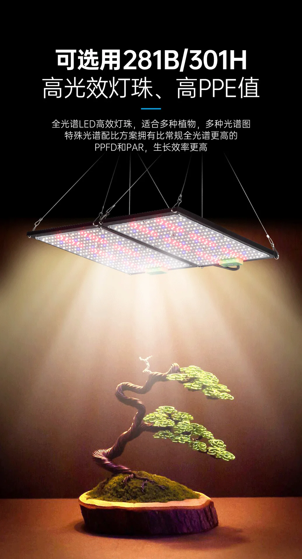 2025 Sheet Metal Cover LED Plant Fill Light Dimmable 100W Rainproof Plant Growth Light Multi-purpose Plant Seeding Light Hot
2025 Sheet Metal Cover LED Plant Fill Light Dimmable 100W Rainproof Plant Growth Light Multi-purpose Plant Seeding Light Hot
