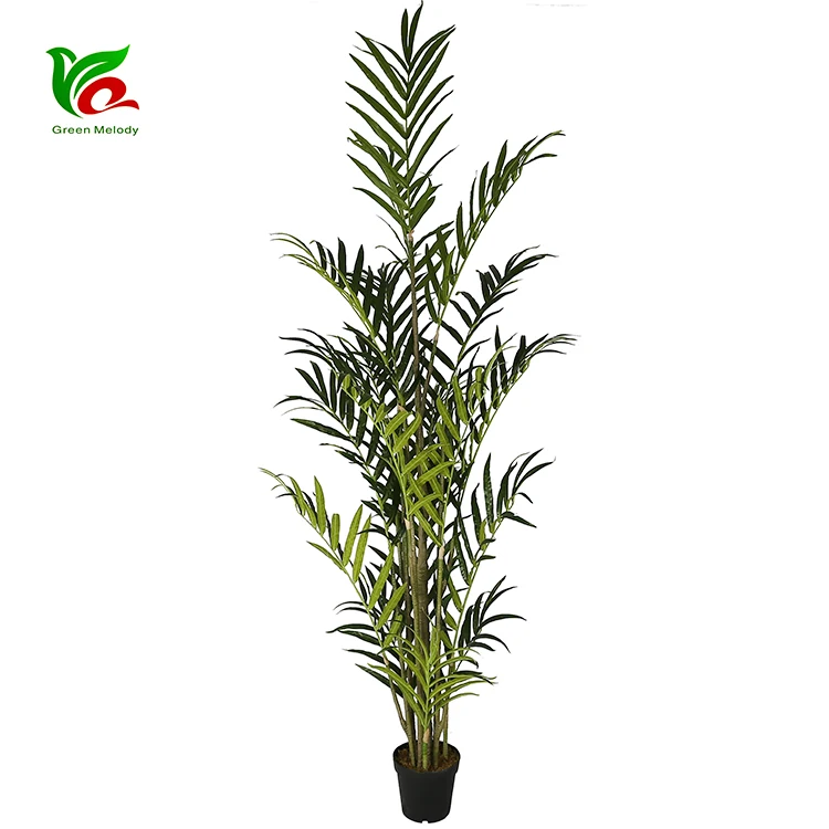 Natural-Design Decorative 2.8m Large Artificial Madeira Palm Tree
Natural-Design Decorative 2.8m Large Artificial Madeira Palm Tree
