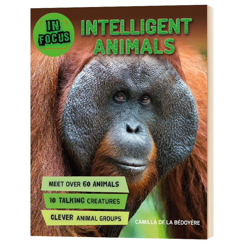 In Focus Intelligent Animals, Children's books aged 7 8 9 10 11 English Popular science picture books, 9780753473887
In Focus Intelligent Animals, Children's books aged 7 8 9 10 11 English Popular science picture books, 9780753473887