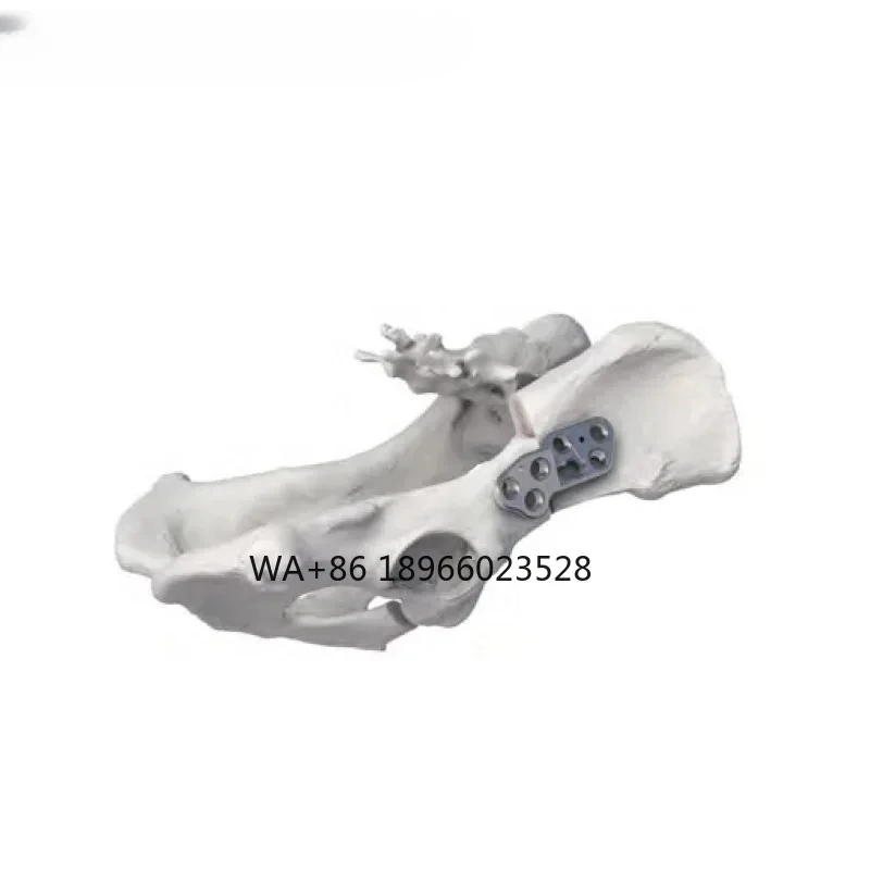 instruments, pet animal surgery screws locking bone plate, Alpine veterinary
instruments, pet animal surgery screws locking bone plate, Alpine veterinary
