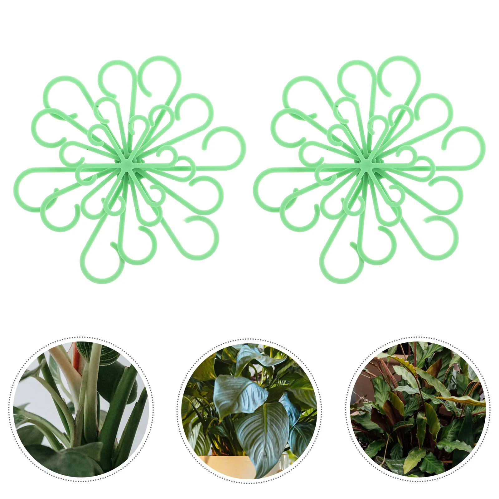 8pcs Plant Support Stakes Adjustable Height For Indoor Plants Stem Holder Bonsai Flower Stems Fix Rack Garden Supplies
8pcs Plant Support Stakes Adjustable Height For Indoor Plants Stem Holder Bonsai Flower Stems Fix Rack Garden Supplies