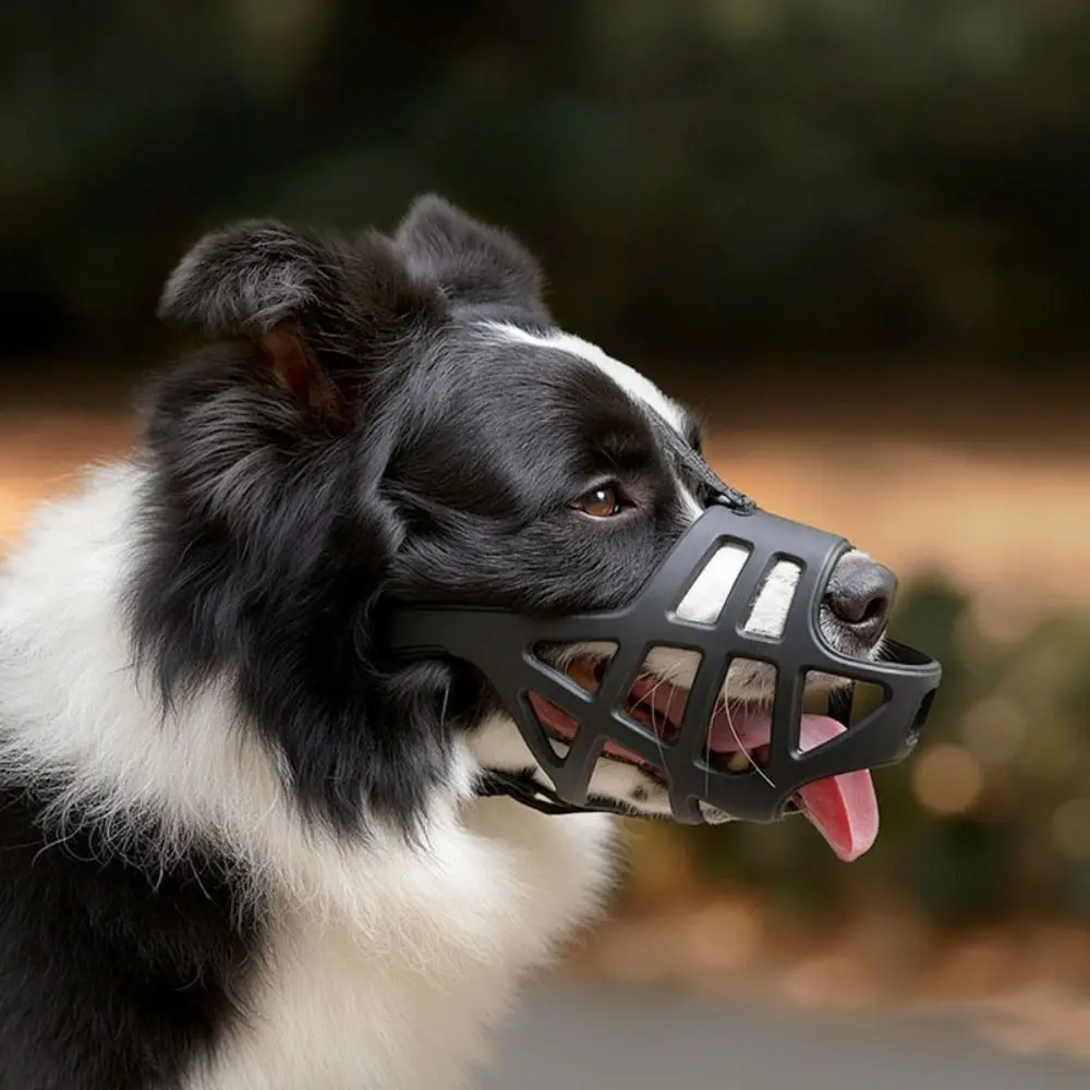 2pcs Adjustable Dog Muzzle Anti-barking Prevent Accidentally Eating Pet Mouth Cover Reflective Tape Breathable Dog Mouth Mask
2pcs Adjustable Dog Muzzle Anti-barking Prevent Accidentally Eating Pet Mouth Cover Reflective Tape Breathable Dog Mouth Mask