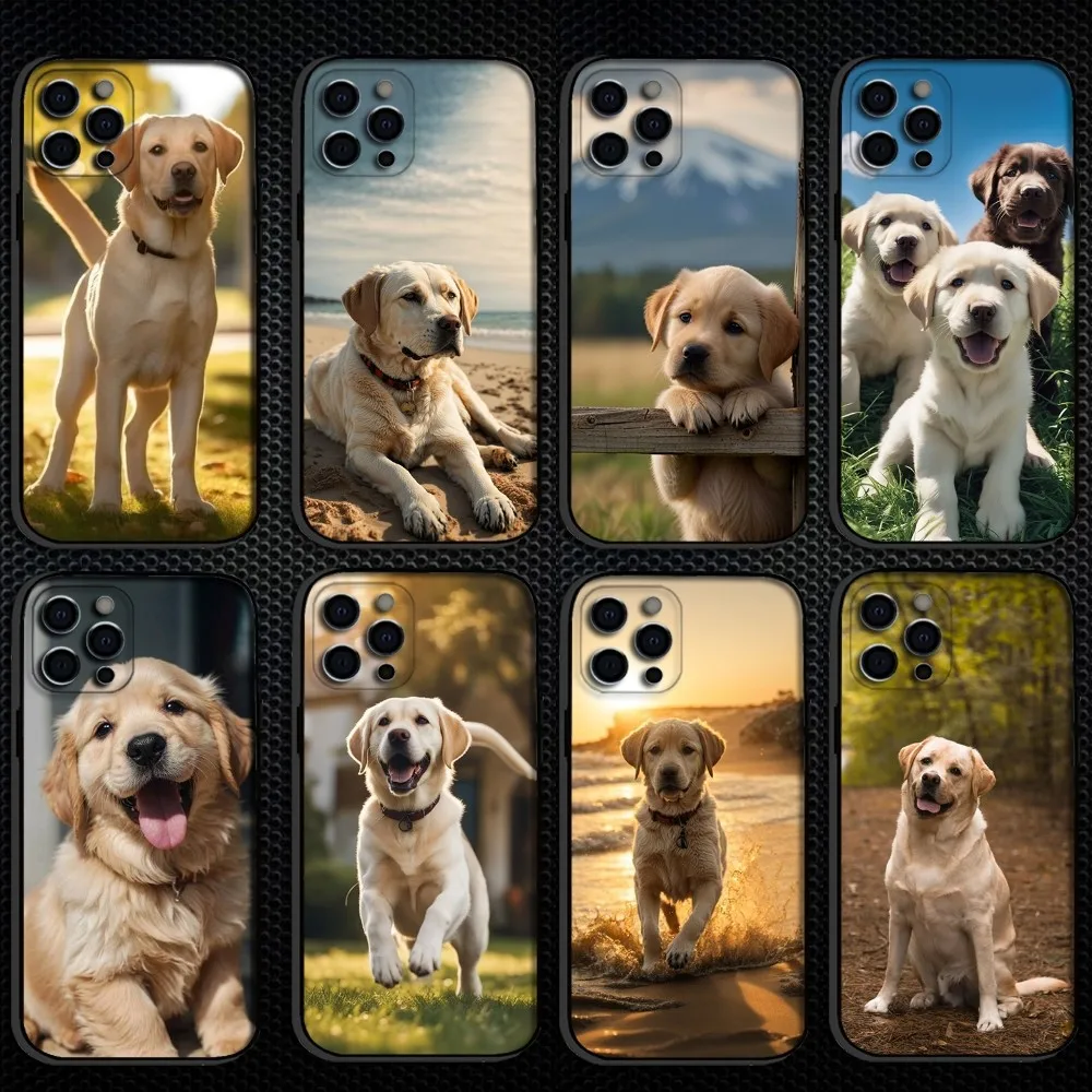 Cute Labrador Golden Retriever Dog Phone Case For iPhone 16,15,14,13,12,11 Plus,Pro Max, Soft Silicone Black Cover
Cute Labrador Golden Retriever Dog Phone Case For iPhone 16,15,14,13,12,11 Plus,Pro Max, Soft Silicone Black Cover